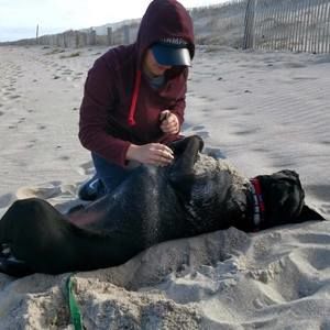 Meet your Posher, Julia